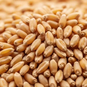 گندم پوست کنده