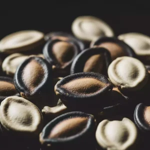 تخم هندوانه